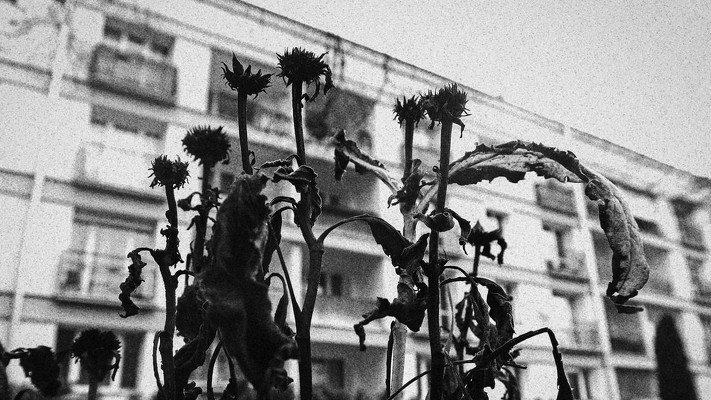 Panicznie boi się wejść do grobowca. Robi to dopiero wtedy, gdy dom, w którym się ukrywa, zostaje podpalony
