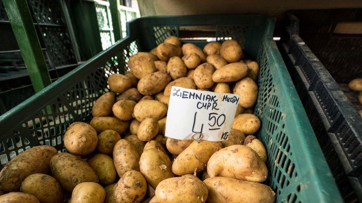 Załamanie na rynku ziemniaków. Drastyczna korekta ceny
